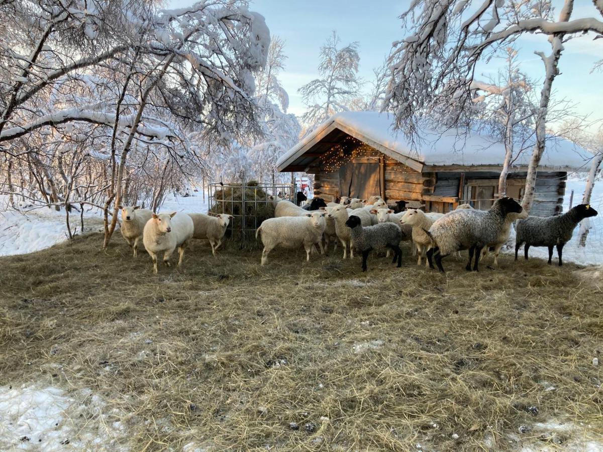 Kuttainen Lodge Karesuando Buitenkant foto